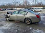 Lot #3312426711 2006 NISSAN MAXIMA SE