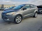 Lot #3303823423 2014 FORD ESCAPE SE