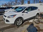 Lot #3304512443 2014 FORD ESCAPE SE