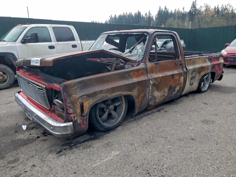 1974 CHEVROLET PU CREW #3316066220