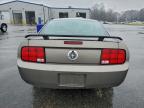 Lot #3303903714 2005 FORD MUSTANG
