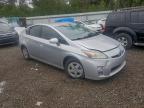 Lot #3312273784 2010 TOYOTA PRIUS