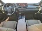 Lot #3316738453 2020 LEXUS ES 350