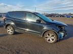 Lot #3304779967 2017 FORD ESCAPE TIT