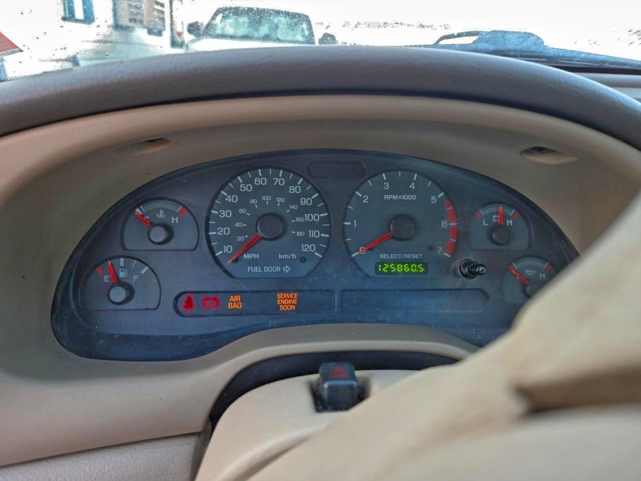 Lot #3309246620 2003 FORD MUSTANG