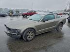 Lot #3303903714 2005 FORD MUSTANG