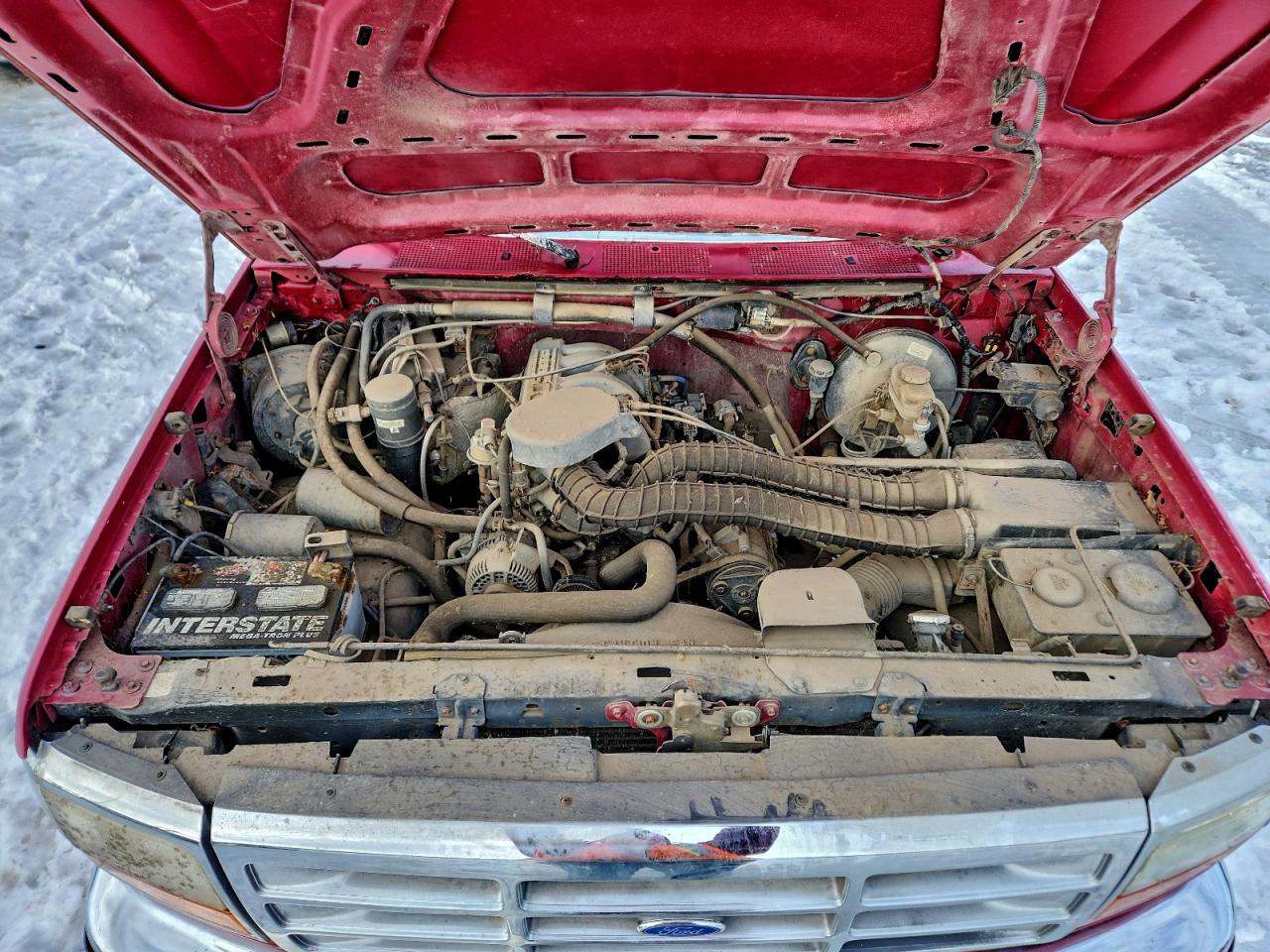 Lot #3315695714 1994 FORD F150