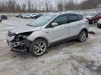 Lot #3304671953 2015 FORD ESCAPE TIT