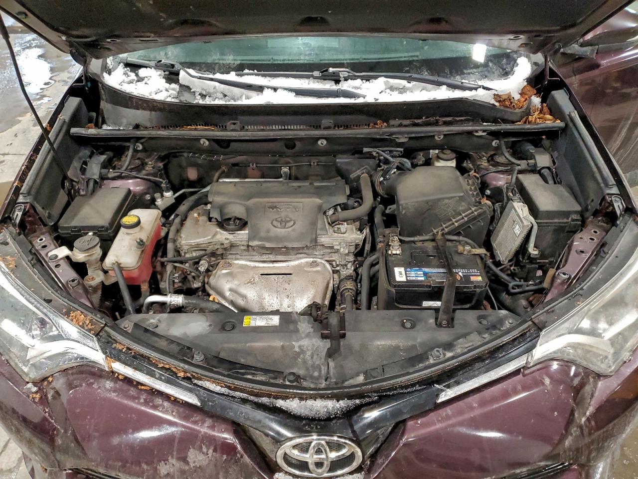 Lot #3311595784 2016 TOYOTA RAV4 XLE