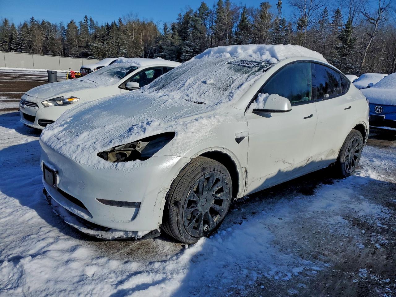 TESLA MODEL Y