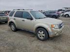 Lot #3311444356 2011 FORD ESCAPE XLT