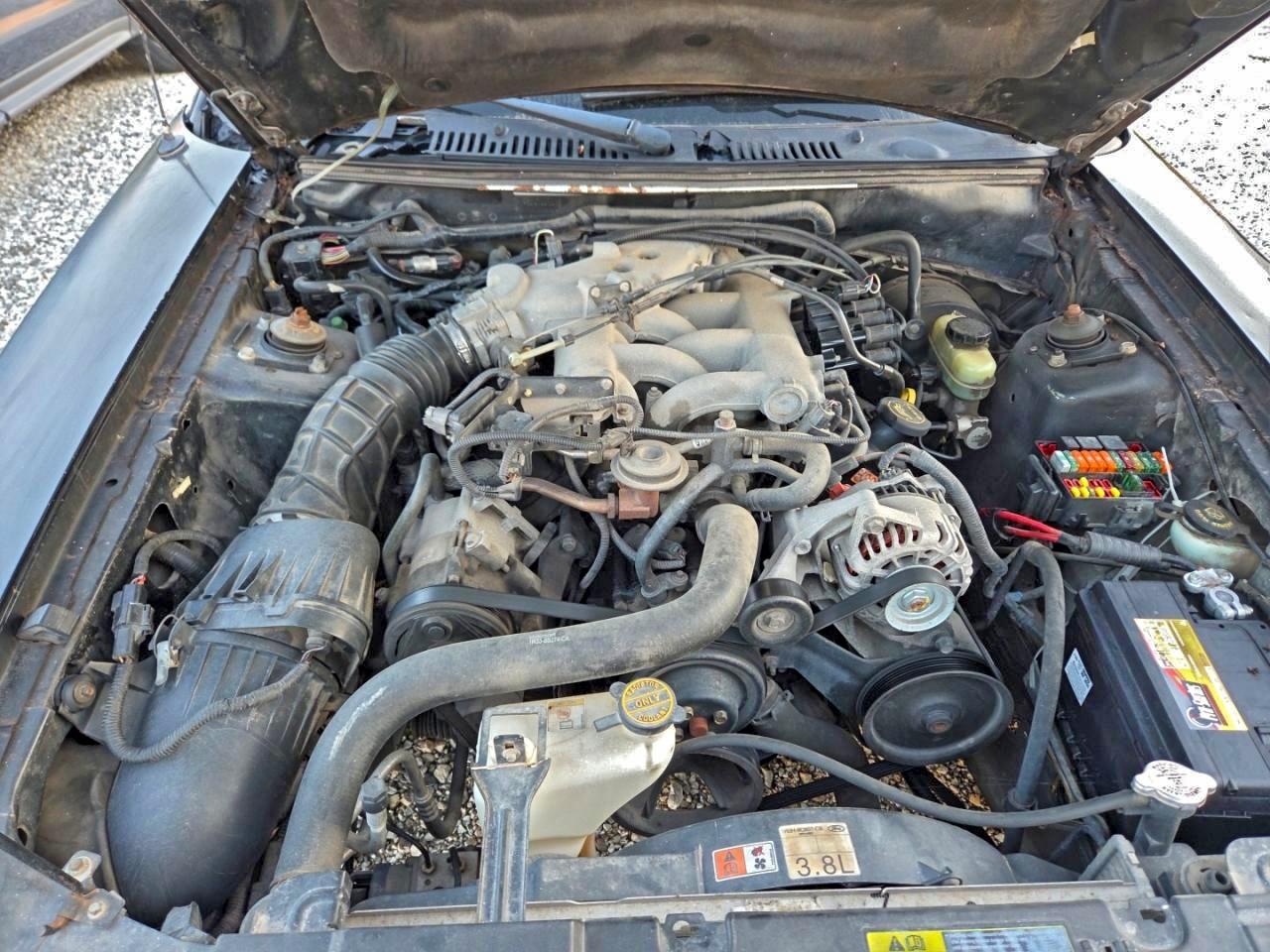 Lot #3309246620 2003 FORD MUSTANG