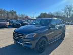 Lot #3310504048 2015 MERCEDES-BENZ ML 250 BLU