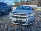 Lot #3315420372 2013 CHEVROLET MALIBU LS