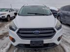 Lot #3312277777 2019 FORD ESCAPE S