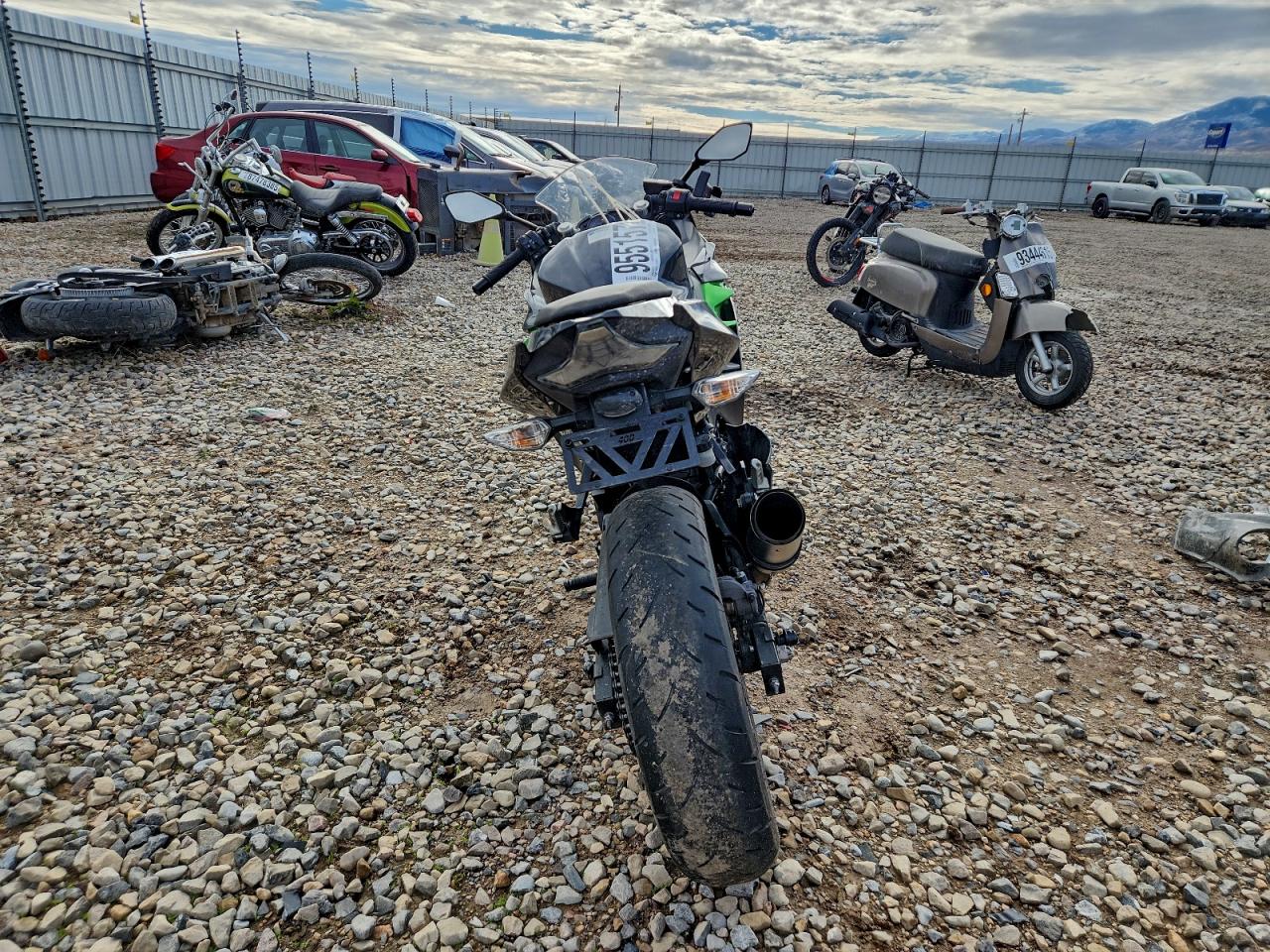 Lot #3309788355 2023 KAWASAKI EX400