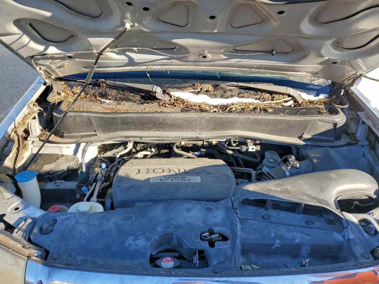 Lot #3310415021 2010 HONDA PILOT EXL