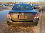Lot #3310307964 2008 HONDA ACCORD EXL