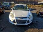 Lot #3306393549 2014 FORD FOCUS SE