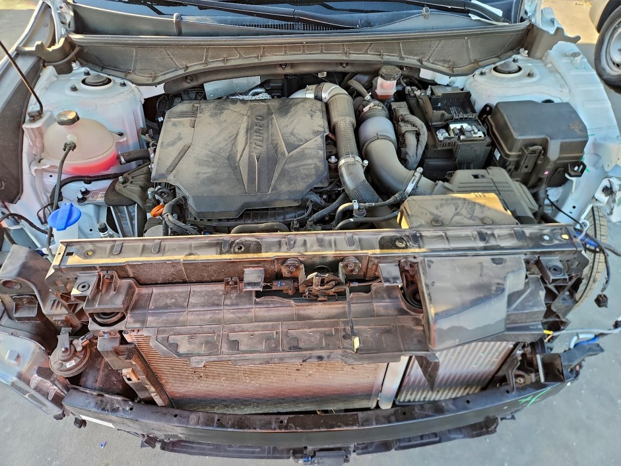 HYUNDAI SANTA CRUZ LIMITED