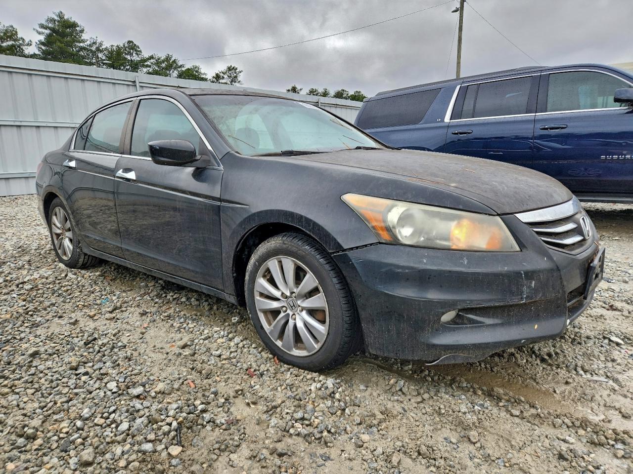 Lot #3308303199 2011 HONDA ACCORD EXL