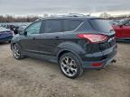 Lot #3305515061 2014 FORD ESCAPE TIT