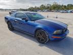 Lot #3312634207 2007 FORD MUSTANG