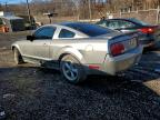 Lot #3306393531 2008 FORD MUSTANG