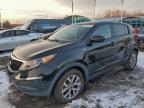 Lot #3319161532 2016 KIA SPORTAGE L