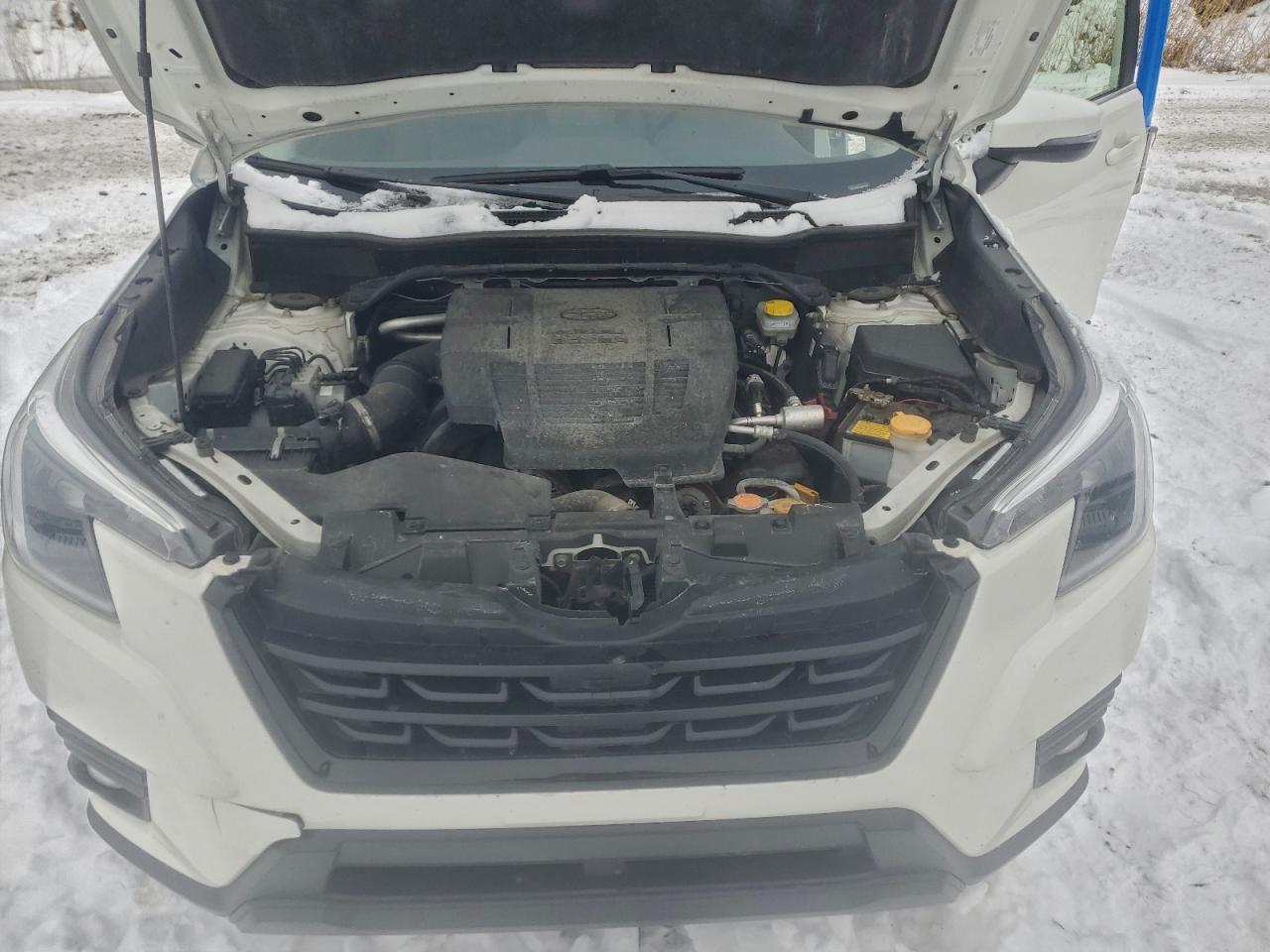 SUBARU FORESTER LIMITED