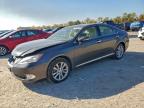 Lot #3316034298 2012 LEXUS ES 350