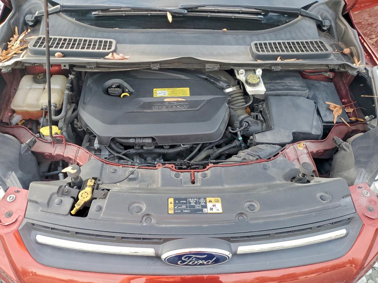 Lot #3311552253 2014 FORD ESCAPE SE