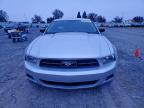 Lot #3310461152 2010 FORD MUSTANG