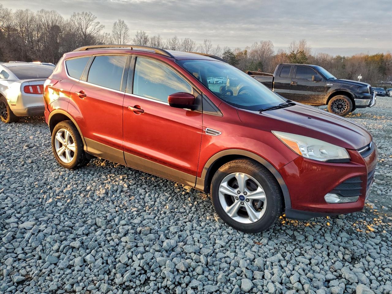 Lot #3311552253 2014 FORD ESCAPE SE
