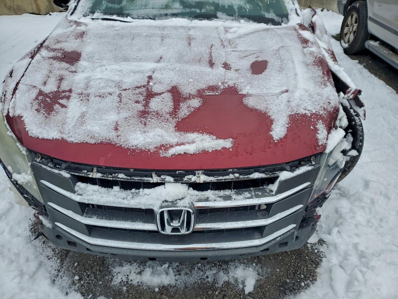 Lot #3317170133 2010 HONDA ACCORD CRO