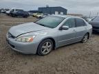 Lot #3305579107 2004 HONDA ACCORD EX