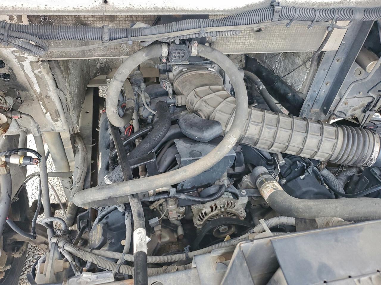 Lot #3310377966 2015 FORD F59