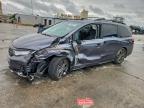 Lot #3309390976 2025 HONDA ODYSSEY TO