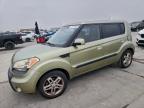 Lot #3304507459 2010 KIA SOUL +