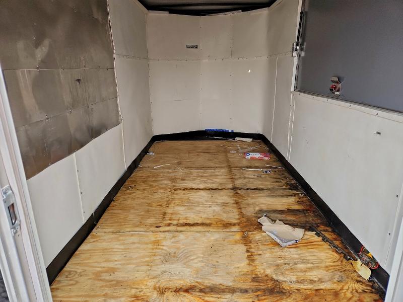 2025 ALL WORLD UNKNOWN #3305369305