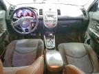 Lot #3309439994 2013 KIA SOUL +