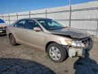 Lot #3301589643 2007 TOYOTA CAMRY CE