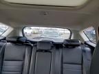 Lot #3301909479 2016 FORD C-MAX PREM
