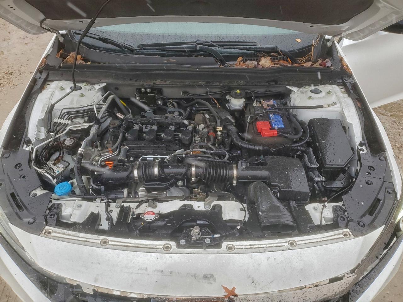 HONDA ACCORD SPORT SE