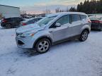 Lot #3316722468 2016 FORD ESCAPE SE