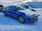 Lot #3315732376 2017 KIA OPTIMA LX