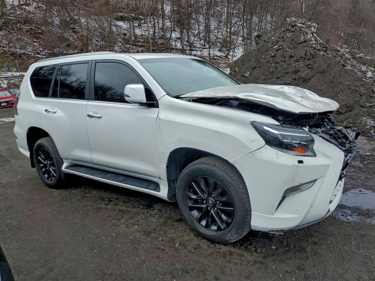 Lot #3304516524 2022 LEXUS GX 460