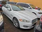 Lot #3305493118 2013 JAGUAR XJ