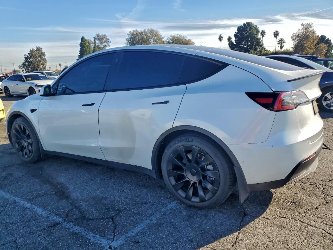 Lot #3317056999 2021 TESLA MODEL Y