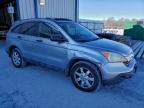 Lot #3315844155 2007 HONDA CR-V EX